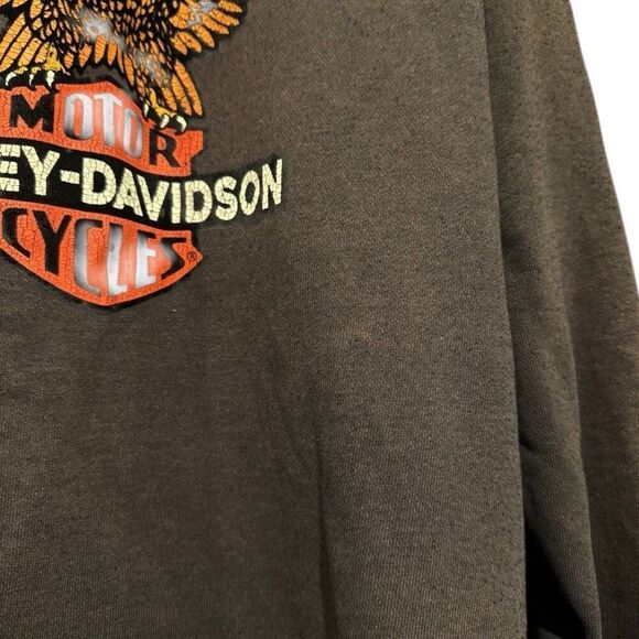 Harley-Davidson Brown Flocked Eagle Back Chest Emblem Patch Men’s Hoodie Large - Picture 5 of 6